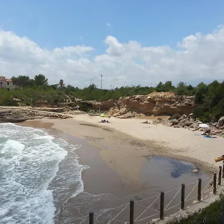 Encantador Gaviotas Cerca De La Playa * Calafat
