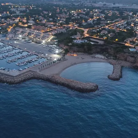 Encantador Gaviotas Cerca De La Playa